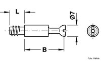 Exzenterbolzen Häfele Minifix S100 5x11x34 mm