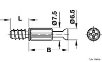 Exzenterbolzen Häfele Minifix S200 5x8x24 mm