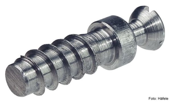 Verbindungsbolzen Rafix 20 verzinkt 5x11 mm 10 Stück