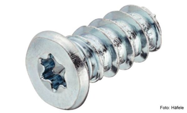 Häfele Varianta Schrauben Zylinderkopf Innenstern IS verzinkt 6,2x13,5 mm 20 Stück