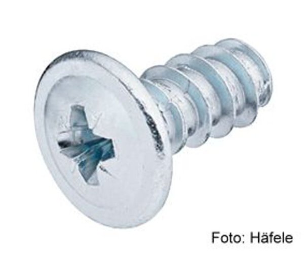Blendenbefestigungsschrauben Kreuzschlitz PZ verzinkt Kopf-ø 13,0 mm 6,2x19,0 mm 8 Stück
